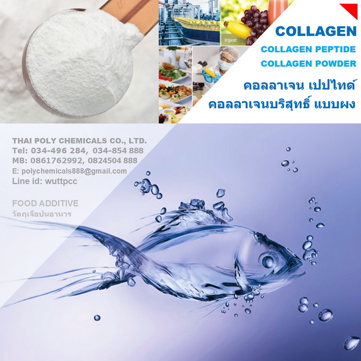 คอลลาเจนไทย, ไทยคอลลาเจน, คอลลาเจนไทยแลนด์, Thai Collagen, Collagen Thailand